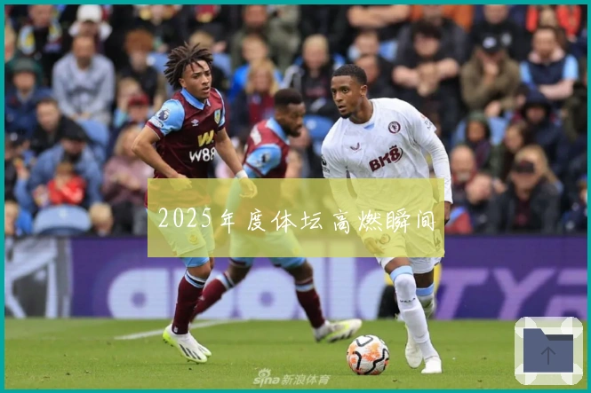 2025年度体坛高燃瞬间